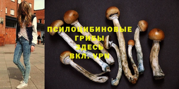 ALPHA PVP Северо-Курильск