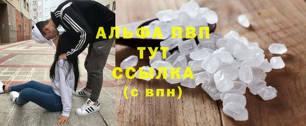 винт Липки