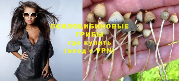 винт Липки